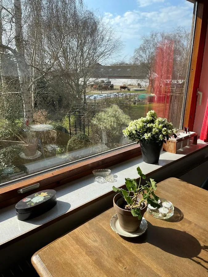 Retro Bolig - Fyldt Med Hygge! Ingen Luksus Apartamento Kolind 0*,  Dinamarca